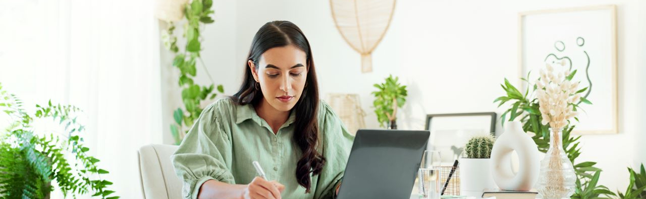 O que é o Conectividade Social ICP?